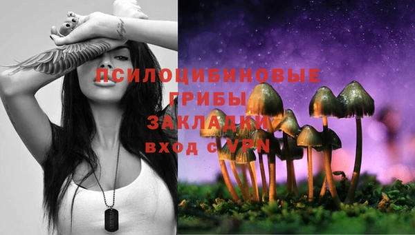 COCAINE Алексеевка